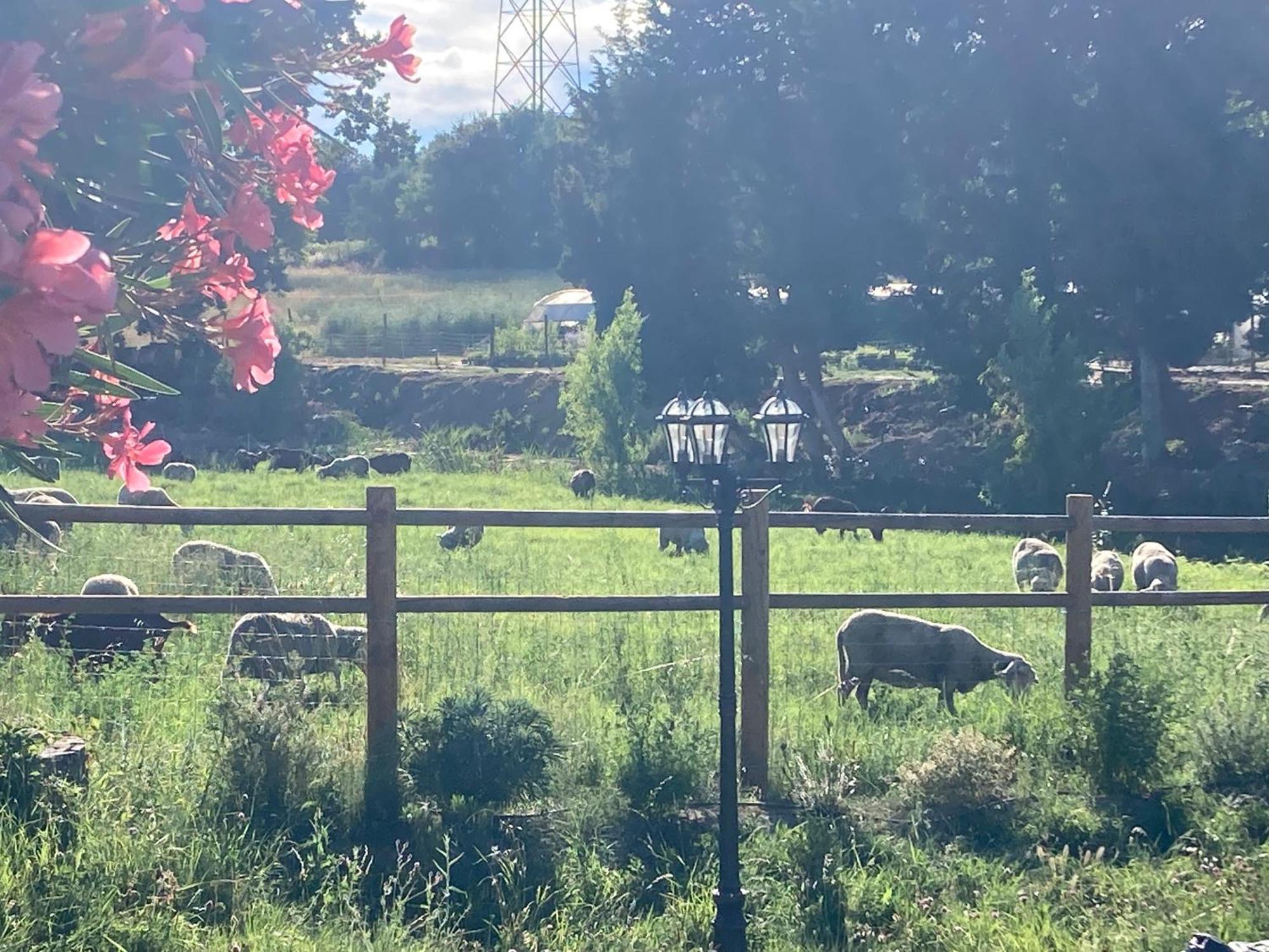 Le Studio D Aurelie Avec Spa Ete En Pleine Campagne Et Proche De Toute Commodite Roquemaure  Exteriör bild